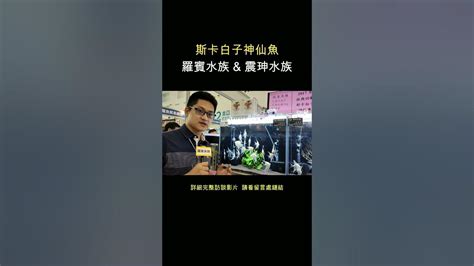 震坤水族|震珅水族各式水族飼料、蠅蛹粉、蝦紅素、特殊神仙魚繁殖、珍稀。